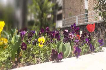 بهار دانشگاه 1399